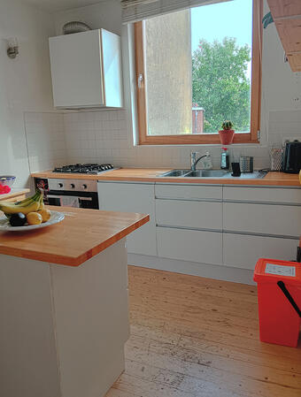 Modern kitchen with plenty of natural light and cooking essentials