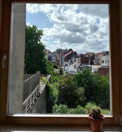 View from the kitchen window on a sunny day
