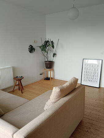 Minimalist corner of the living room with sofabed