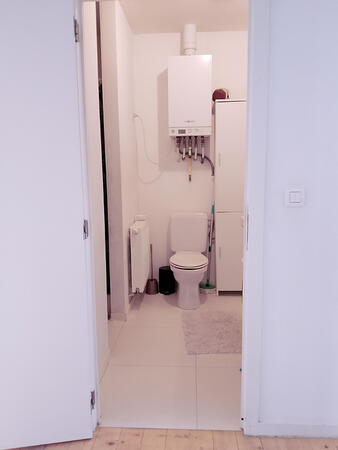 Bathroom with toilet and water heater, viewed from the hallway