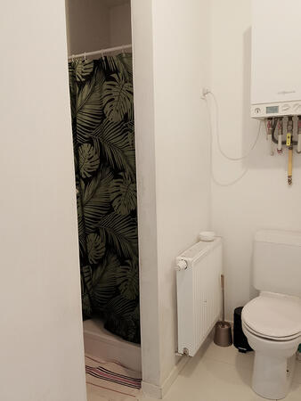 Bathroom with shower and toilet